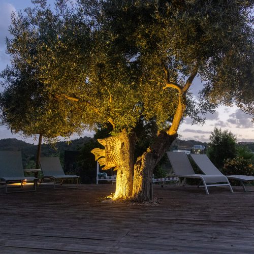 Celebra tu evento en Finca Contrabando